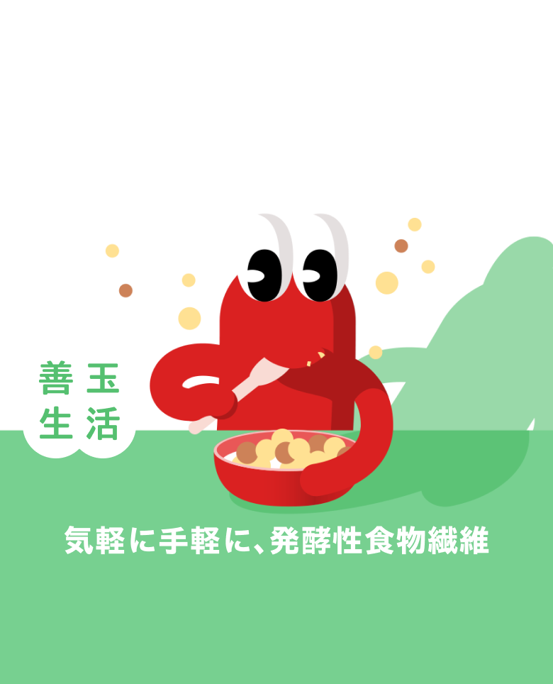 善玉菌にファイビー Fibee 2024.3月発売 善玉生活 気軽に手軽に、発酵性食物繊維